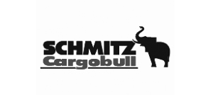 Marci de vehicule